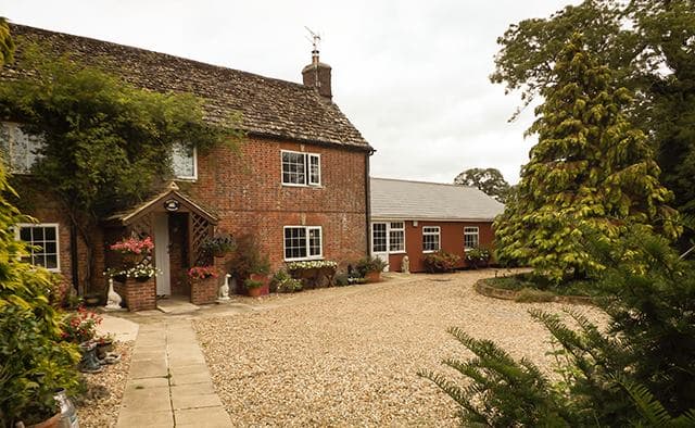 Business listing image