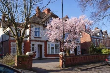 Business listing image