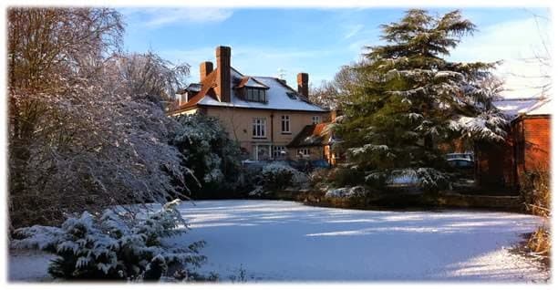 Business listing image