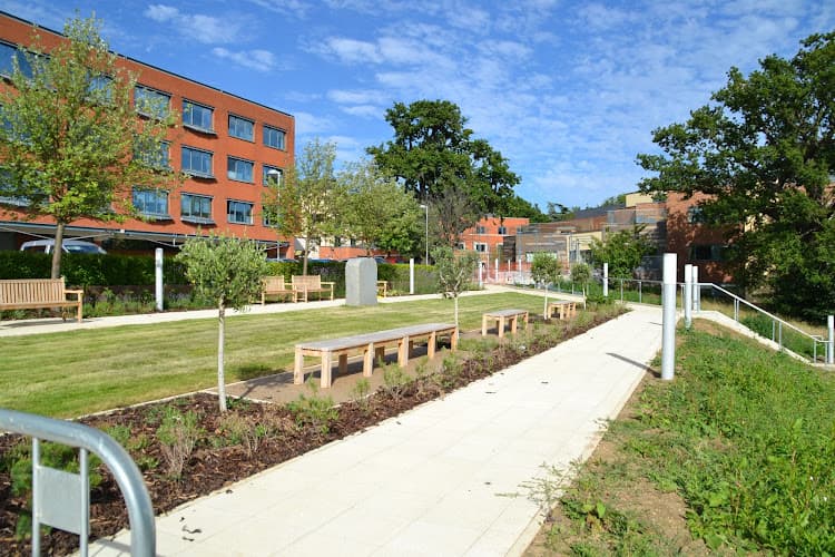 Business listing image